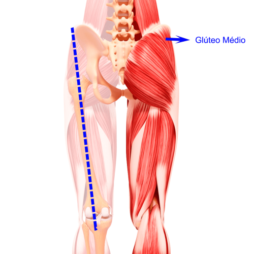 lesão de ligamento no joelho da mulher